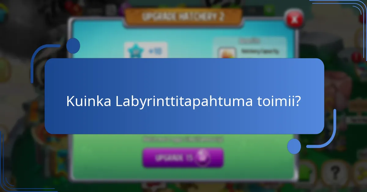 Kuinka tapahtumavaluutta toimii Labyrinttitapahtumassa?